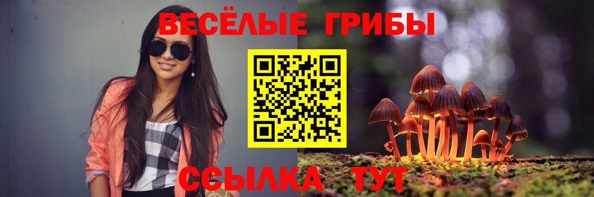 Галлюциногенные грибы Psilocybe  Вход с VPN  Губкин  Псилоцибиновые грибы MAGIC MUSHROOMS 
